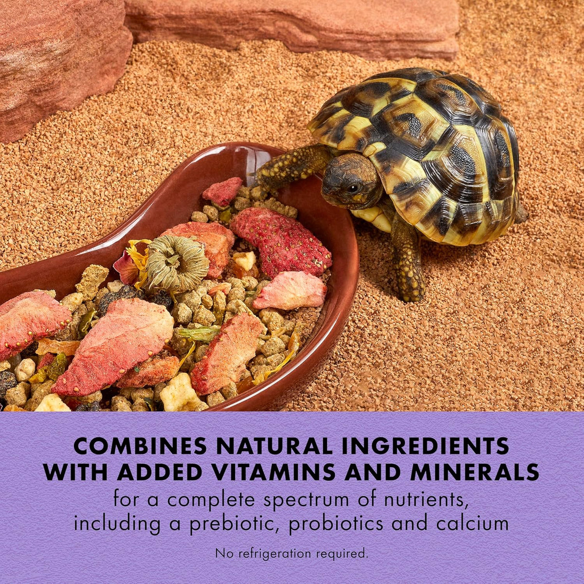 Zilla reptile herbivore medley food freeze dried ingredients close up
