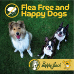 Happy Jack dog pest control powder five ounces packaging