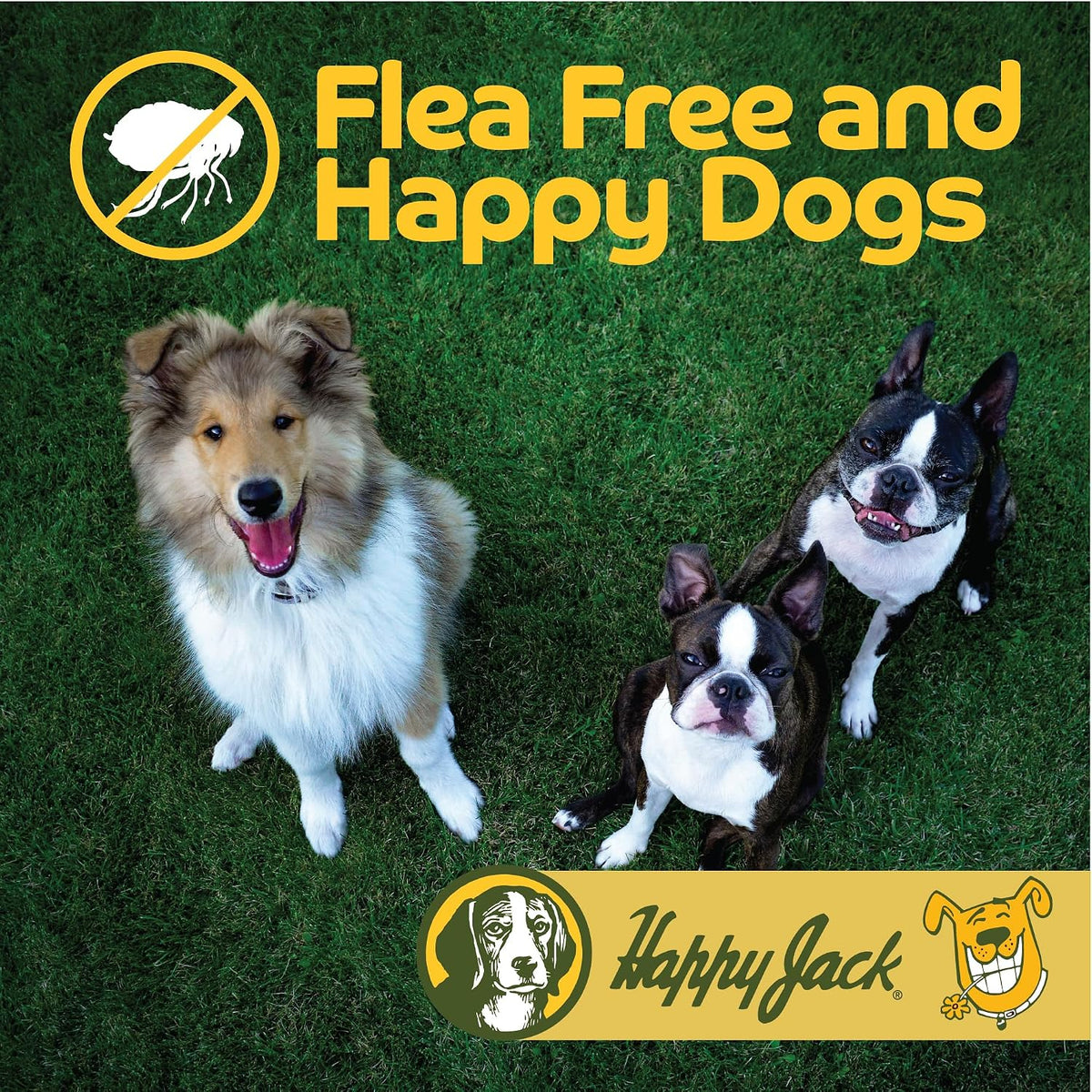 Happy Jack dog pest control powder five ounces packaging