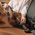 Adjustable 20 to 26 inch dog travel safety lead