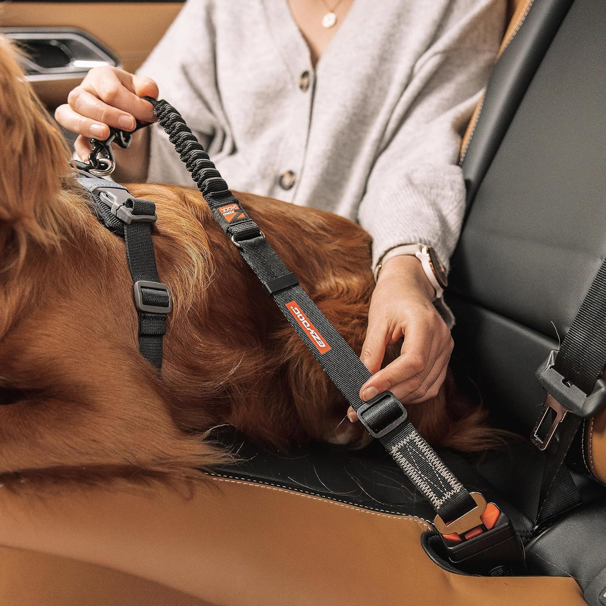 Adjustable 20 to 26 inch dog travel safety lead