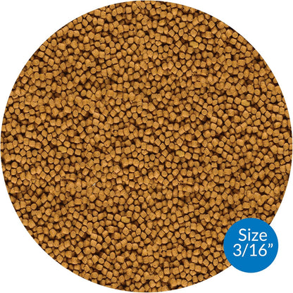 Close up of API pond fish food floating pellets