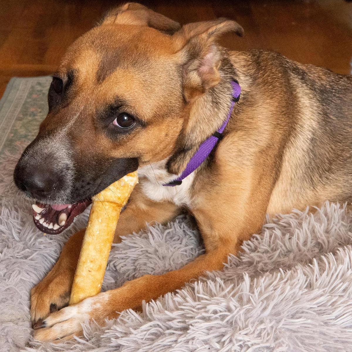 Fieldcrest Farms healthy high protein collagen bones for medium dogs