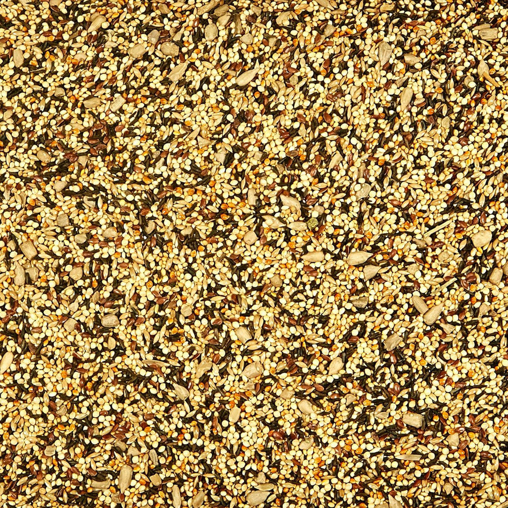 Close up view of wild finch seed blend texture