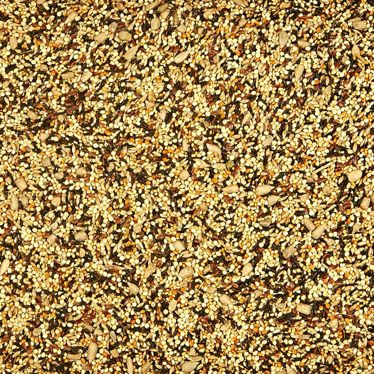 Close up view of wild finch seed blend texture