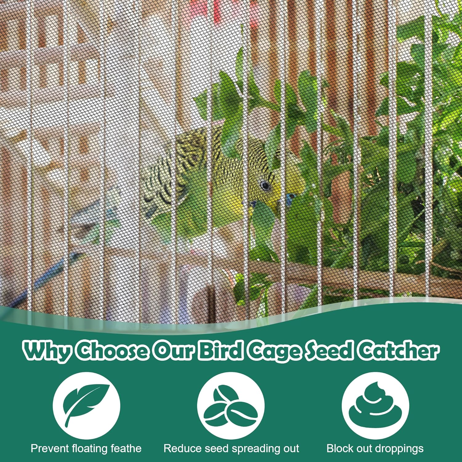 Extra large parrot cage guard installed to catch scattered seeds and debris
