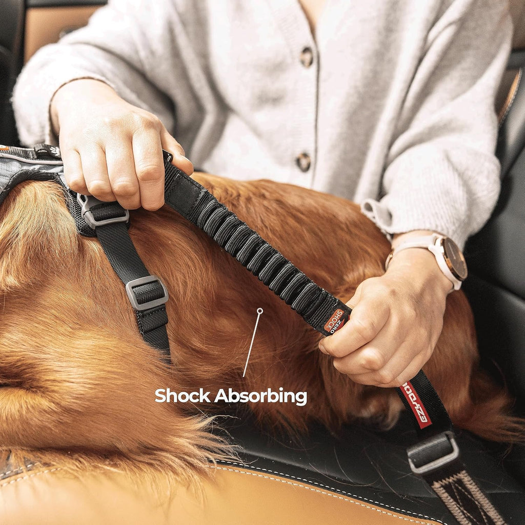 EzyDog car seat belt attachment for dog harness
