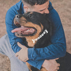 Topical defense solution against deer ticks and mosquitoes for dogs