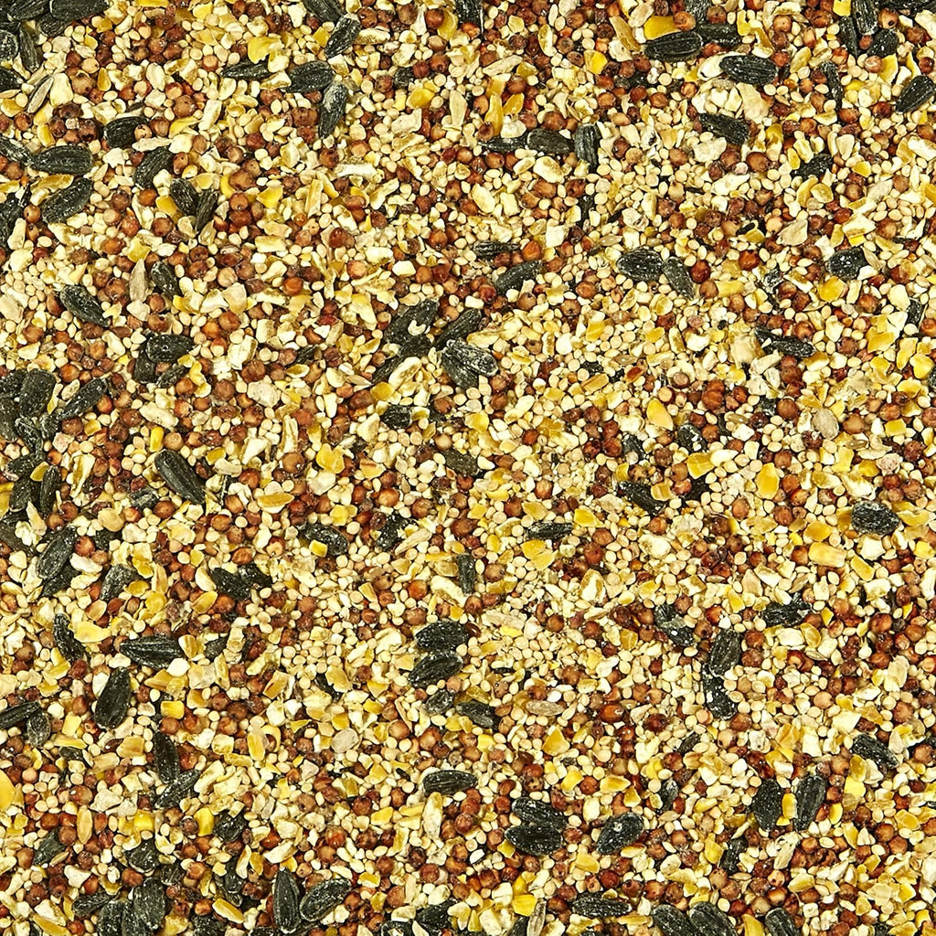 Close up view of seed blend texture and black oil sunflower seeds