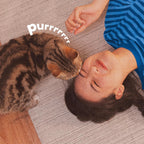 Topical tick and mosquito repellent for cats product specifications