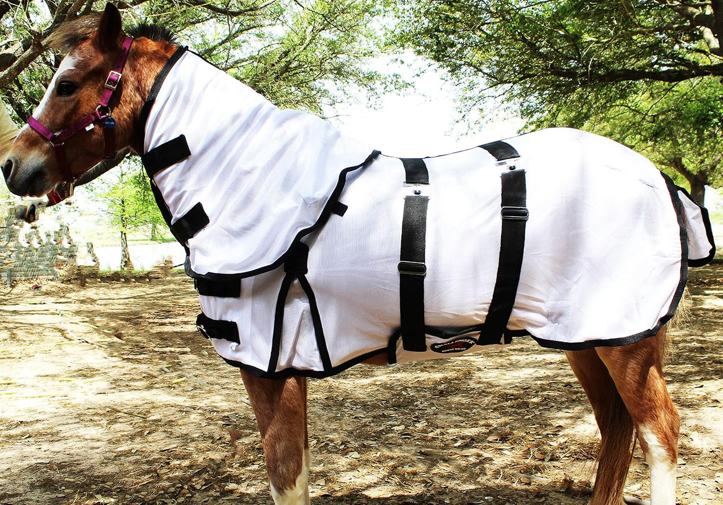 60" Miniature Weanling Donkey Pony Horse Foal Summer Sheet 51813 - Image 15
