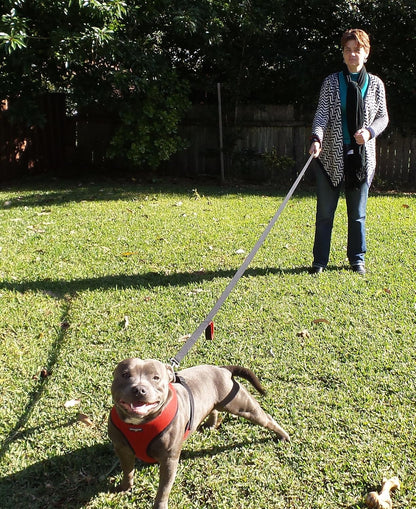 Primal Pet Gear traffic control handle for large dogs