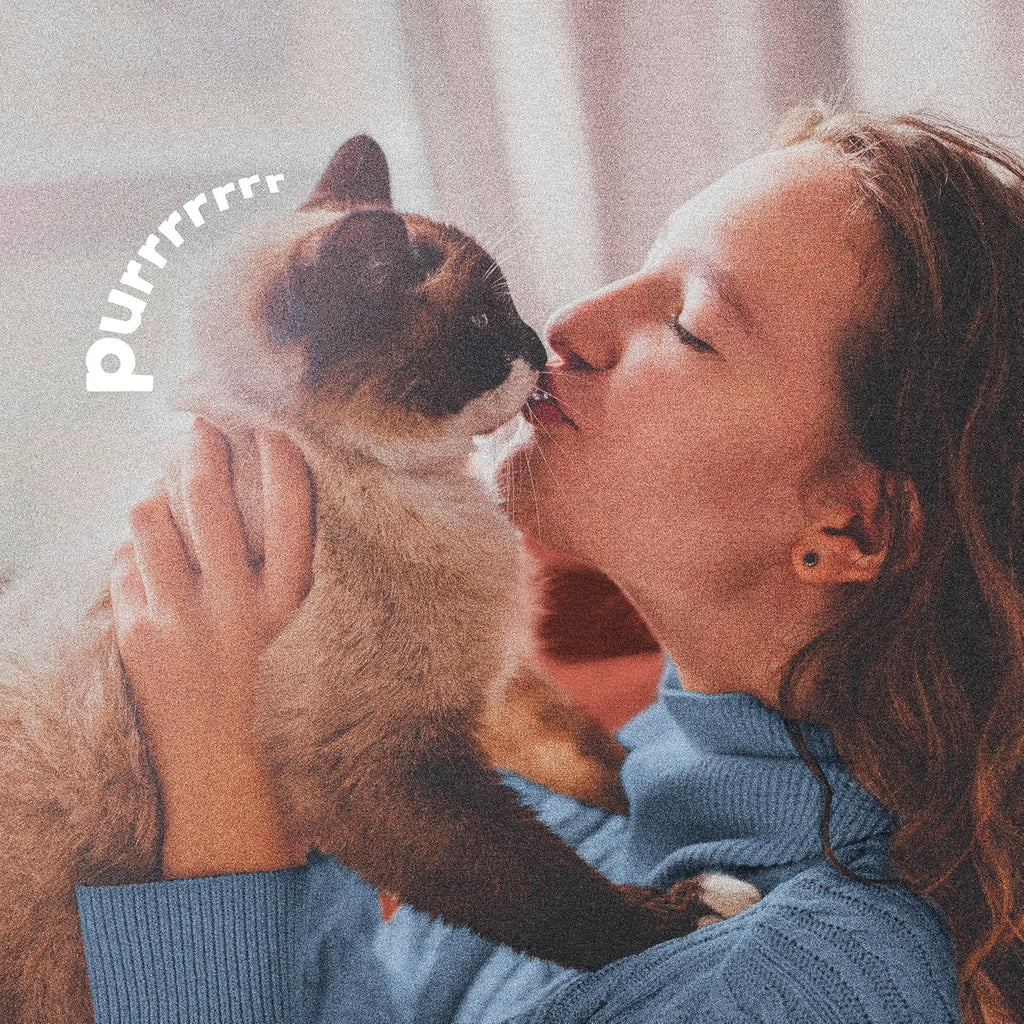 Authentic USA imported Adams pet care product