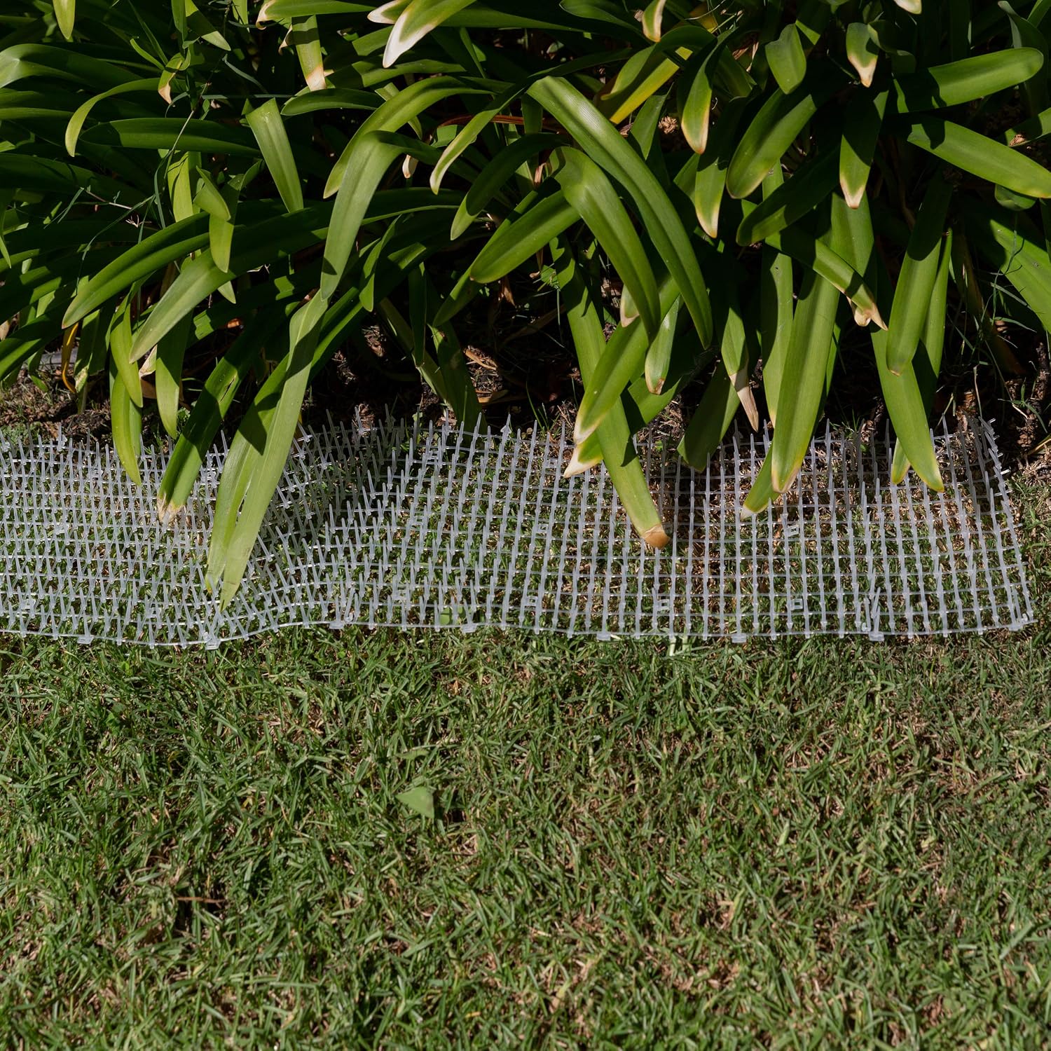Ultragica pet training mat rolled up for easy storage