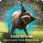 Sergeant's flea and tick shampoo for puppies twelve weeks and older.
