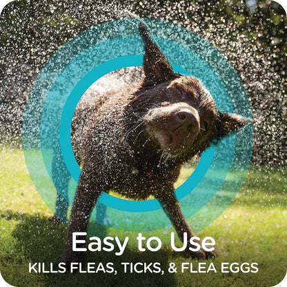 Sergeant's flea and tick shampoo for puppies twelve weeks and older.