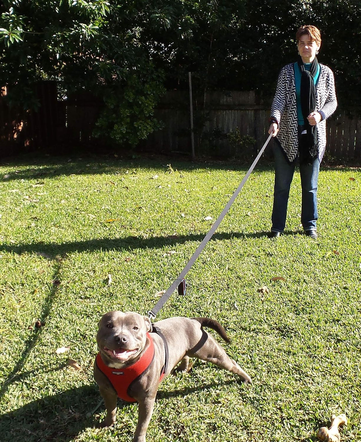 Tangle free swivel metal alloy clasp detail on the Primal Pet Gear dog leash.