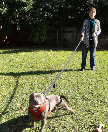 Tangle free swivel metal alloy clasp detail on the Primal Pet Gear dog leash.