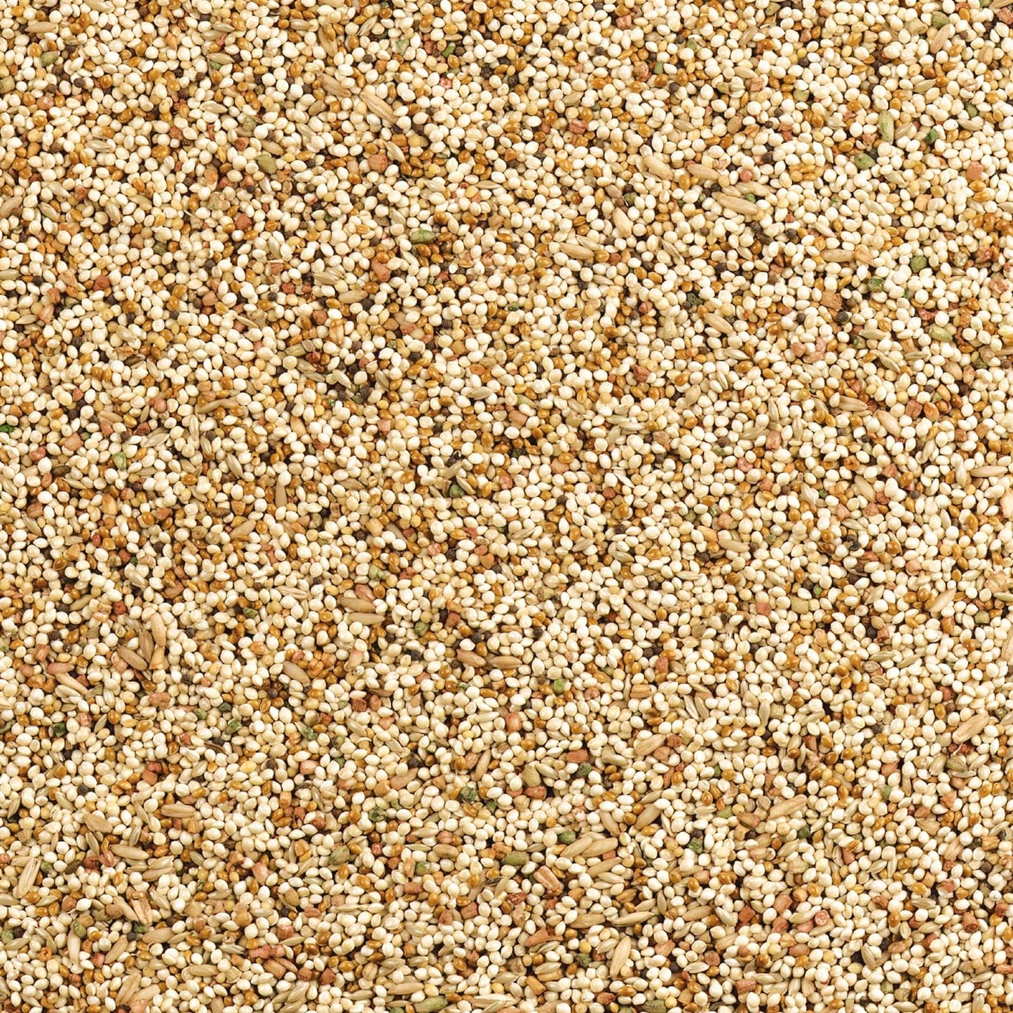 Wild Harvest daily seed mix for canaries side view