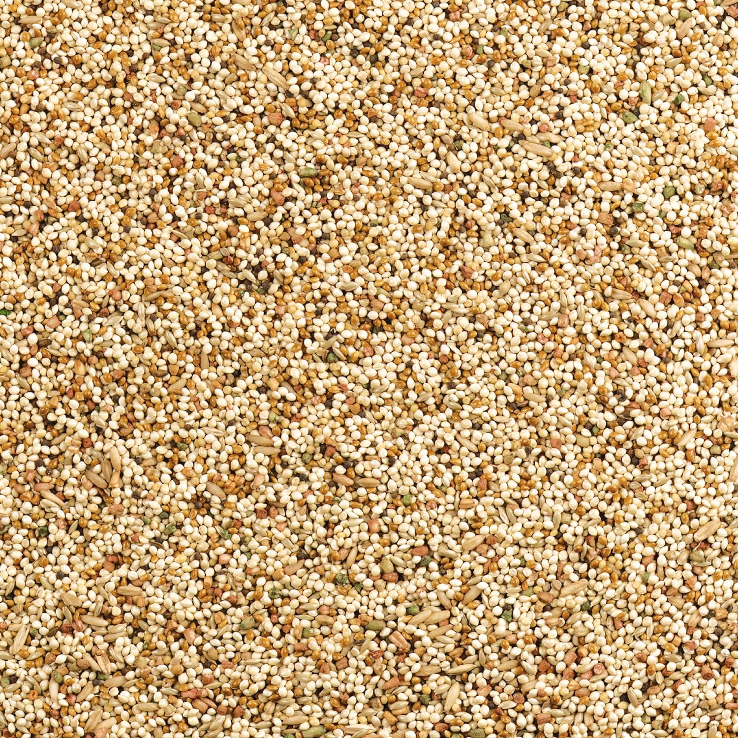 Wild Harvest daily seed mix for canaries side view
