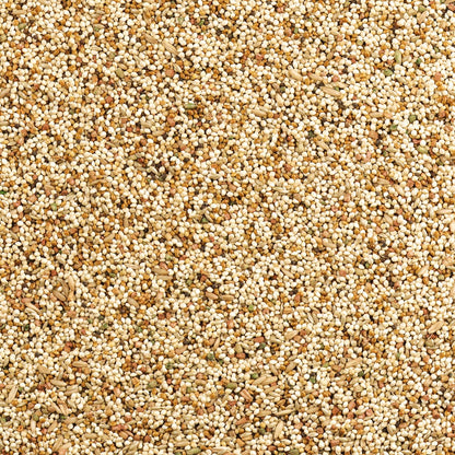 Wild Harvest daily seed mix for canaries side view