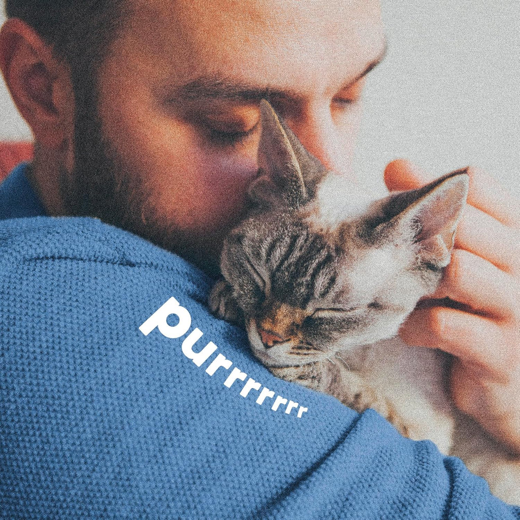 Side profile of cat wearing Adams Plus flea and tick collar