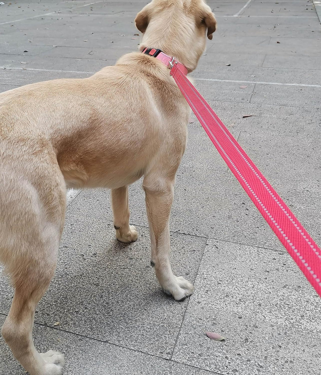 Accessory D ring attachment on the black reflective pet lead holding a poop bag dispenser.