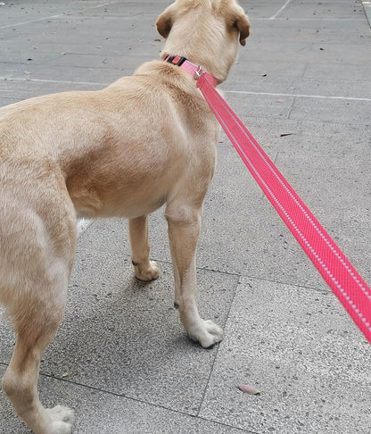 Accessory D ring attachment on the black reflective pet lead holding a poop bag dispenser.