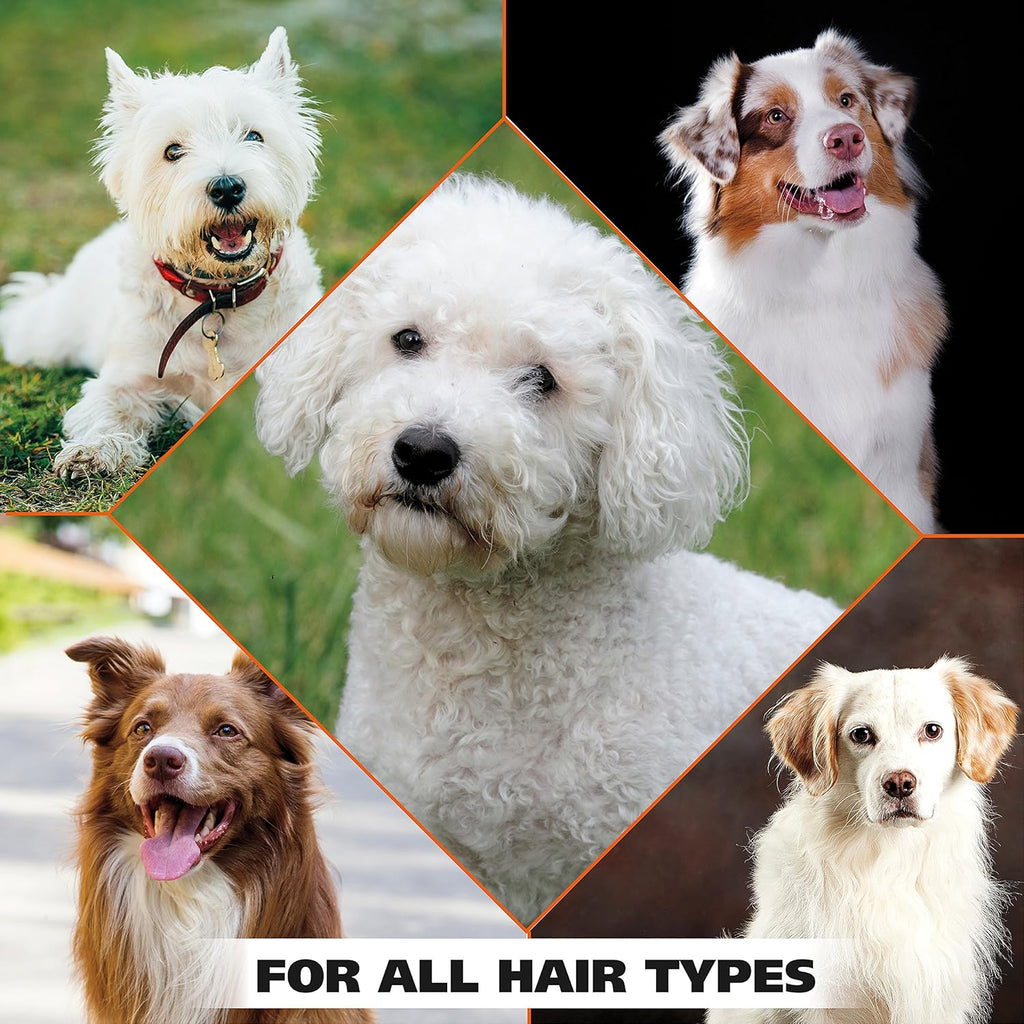 Wahl whitening shampoo ingredients and usage label