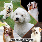 Wahl whitening shampoo ingredients and usage label