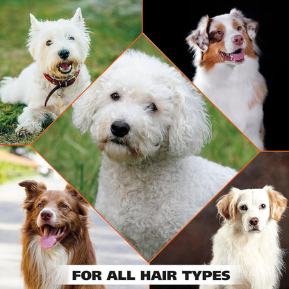 Wahl whitening shampoo ingredients and usage label