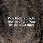 Close up of Adams Precor flea shampoo label instructions
