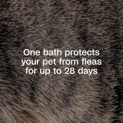 ADAMS Plus Flea and Tick Shampoo with Precor for Dogs, Cats, Puppies & Kittens, Treats Infestations, Kills Ticks, Flea Eggs & Lice, Cleans and Conditions Coat, 12 oz - Image 3