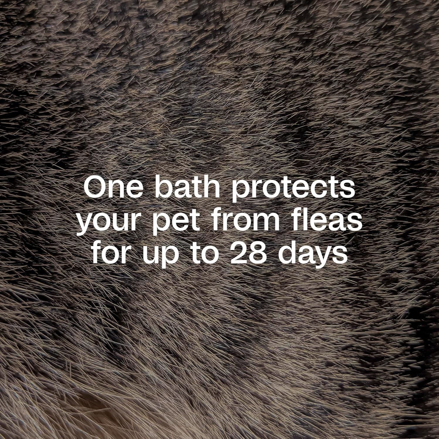 Back label of ADAMS flea shampoo for puppies explaining instructions and ingredients