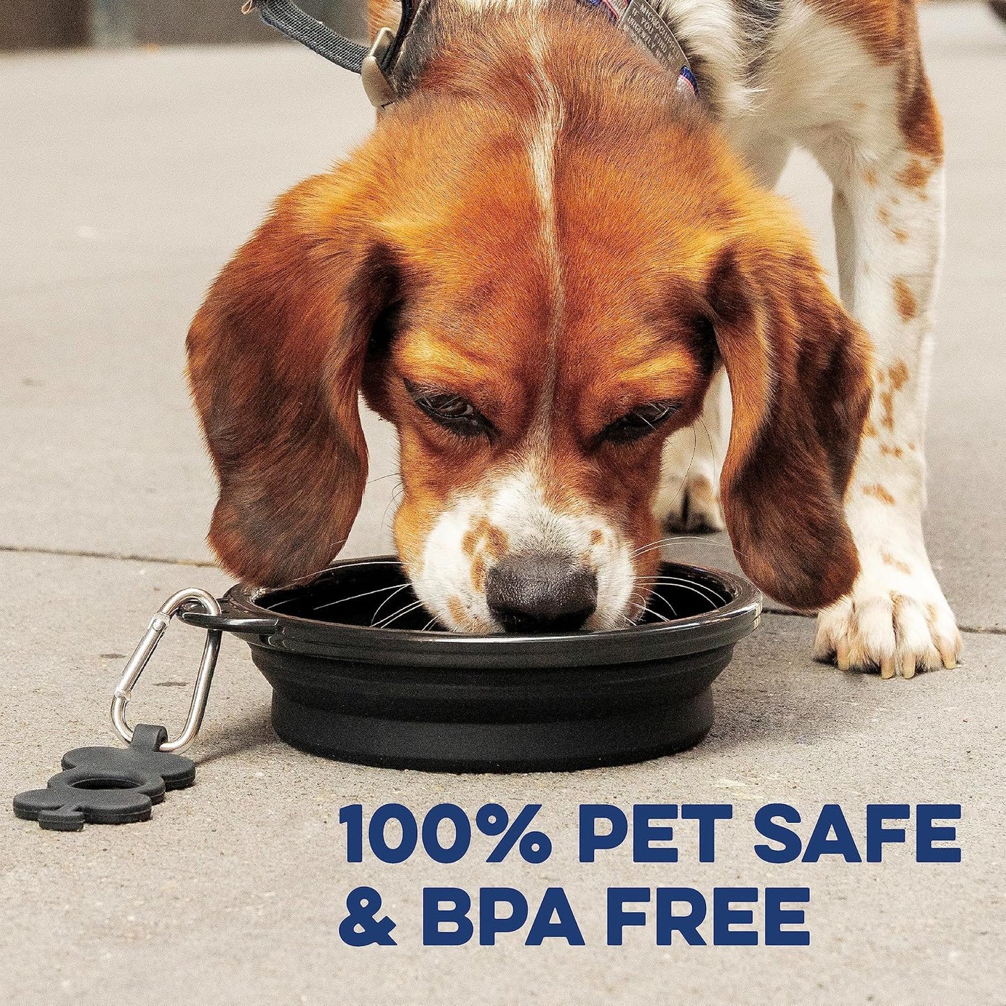 Premium authentic Bonza portable pet feeding bowl top view details