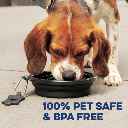 Premium authentic Bonza portable pet feeding bowl top view details