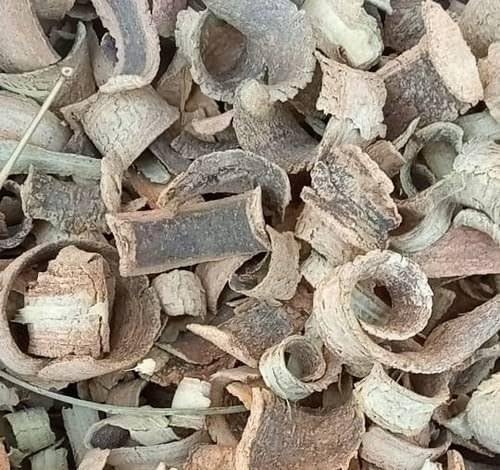 Close up of 100% pure Kutaj Chaal showing authentic bark texture.