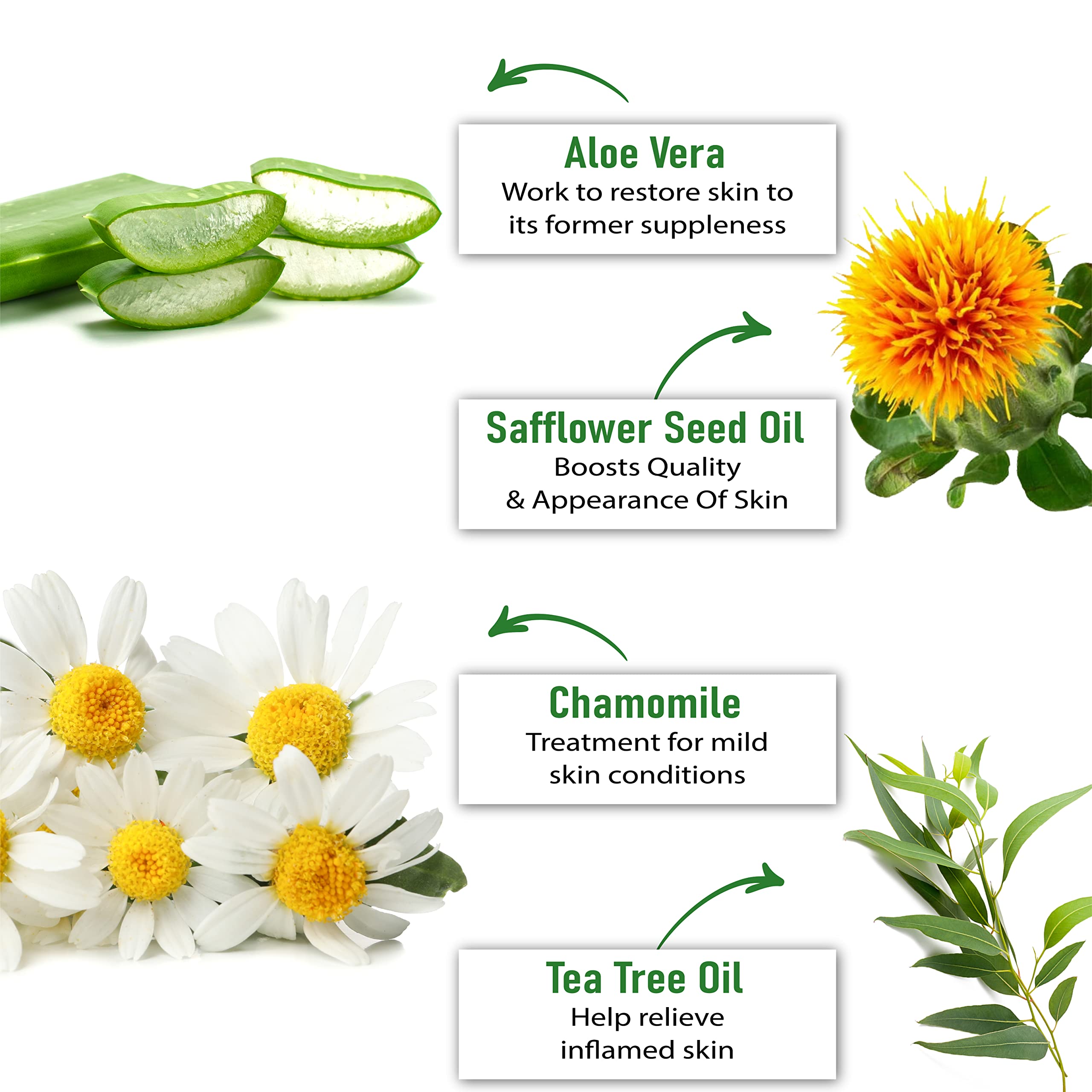PurOrganica foot cream packaging highlighting key ingredients aloe vera and tea tree oil