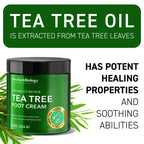 New York Biology tea tree cream application on feet