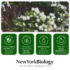 New York Biology tea tree oil foot cream lifestyle setting