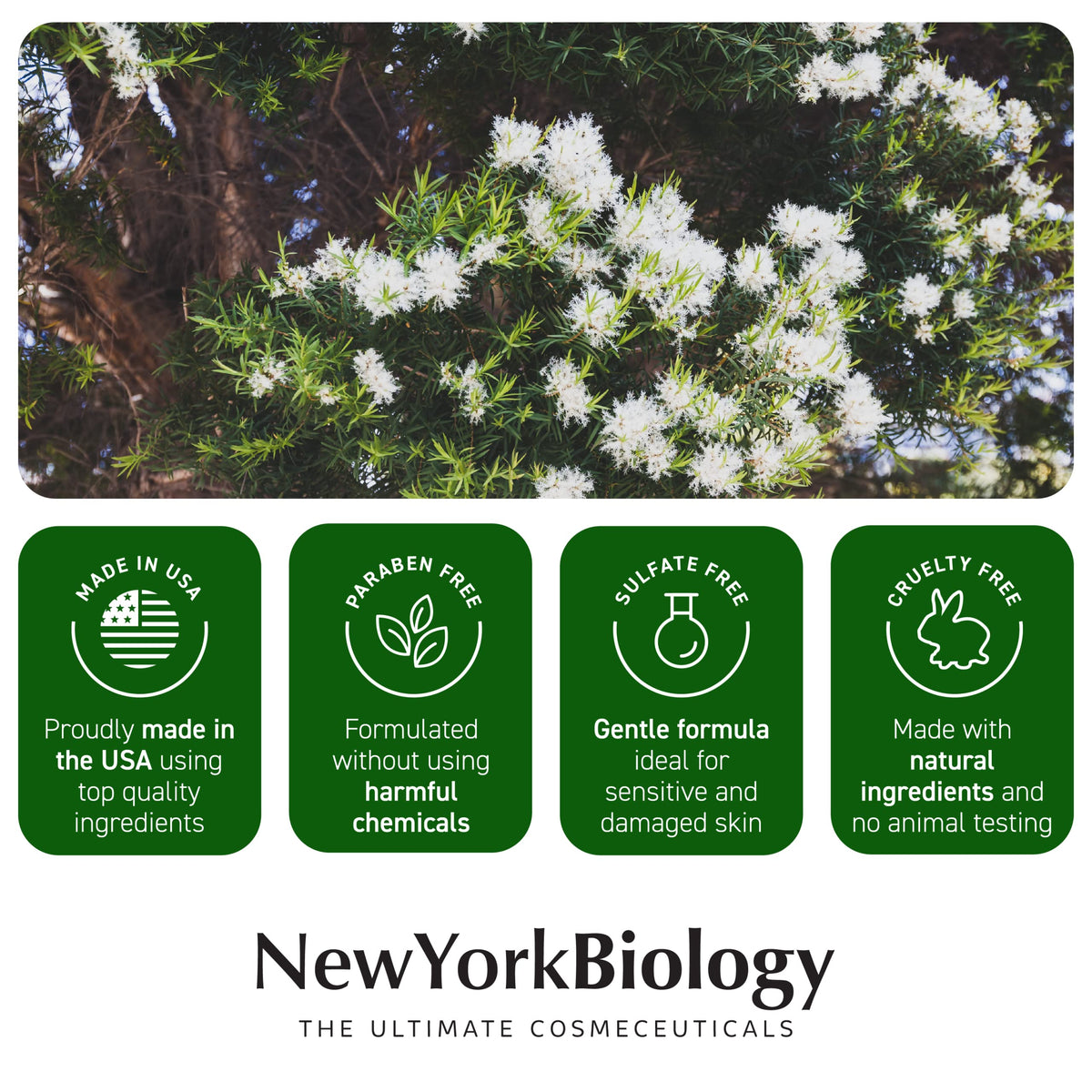 New York Biology tea tree oil foot cream lifestyle setting