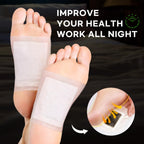 Adhesive sheets and herbal pads included in set