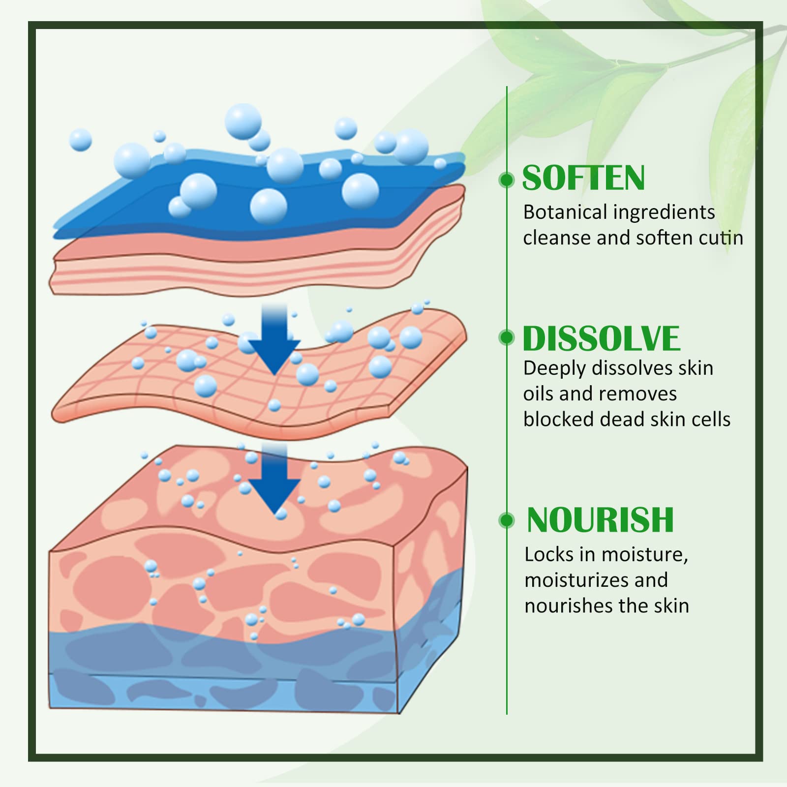 Close up of botanical ingredients used in exfoliating foot peel spray