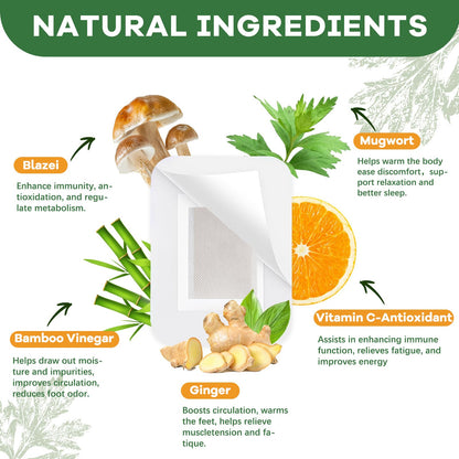 Natural ingredient highlights including bamboo vinegar ginger and mugwort on Elephant Health box packaging