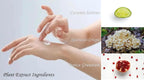 Detailed view of nourishing essence inside the hand mask glove