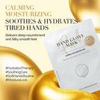 Dlux Professional hand mask gloves packaging details