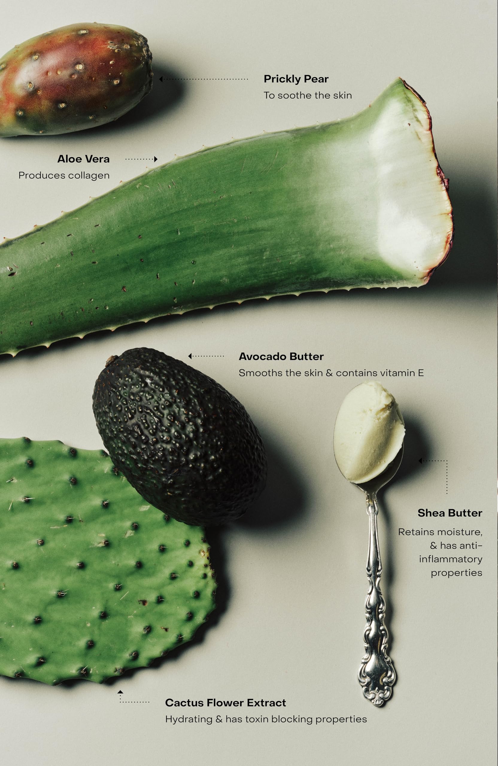 Sidia Soaked Hand Exfoliant luxurious skincare packaging