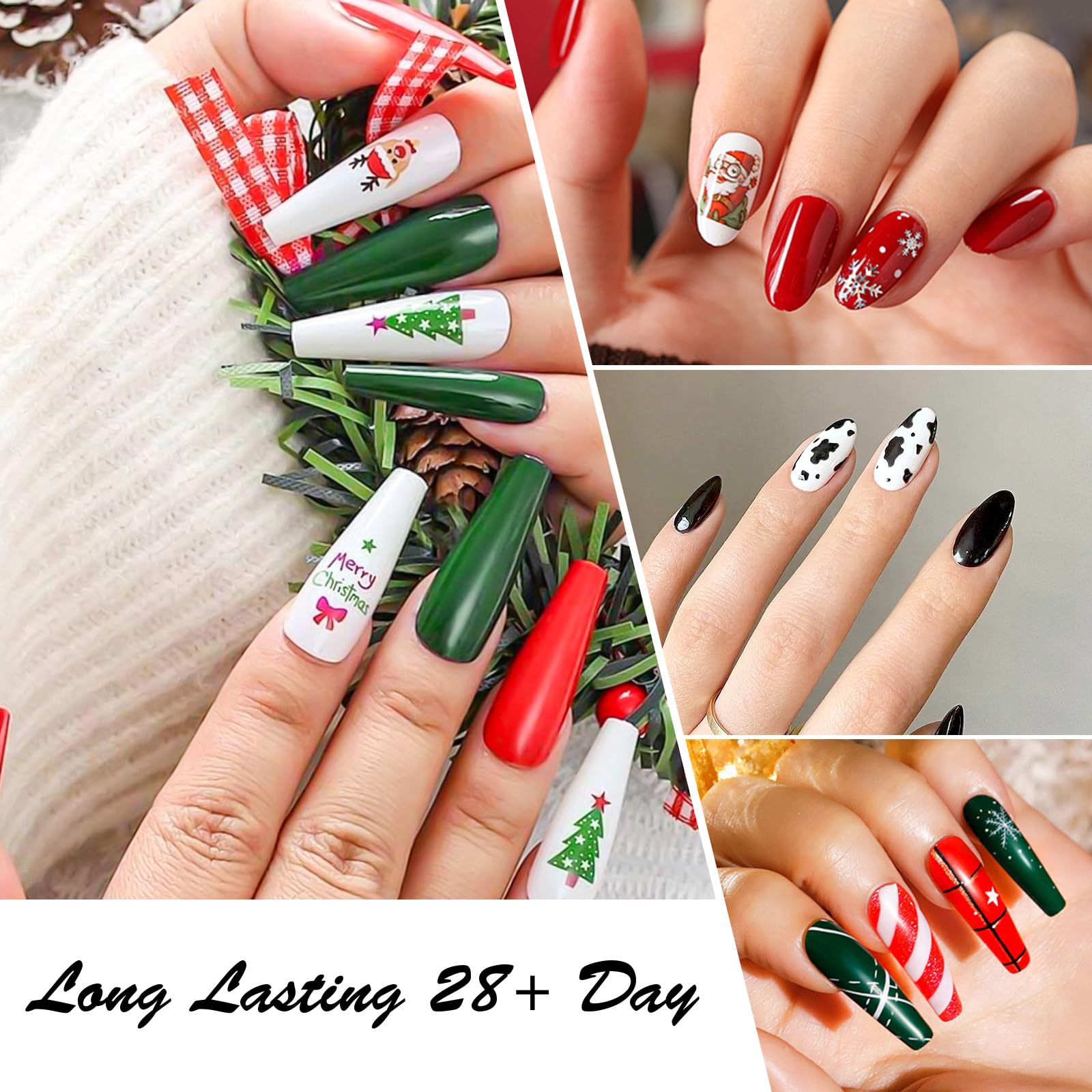Top down view of Canni 30 piece gel nail polish kit layout