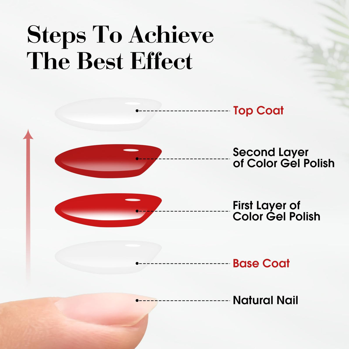 CANNI high gloss top coat set dual bottles