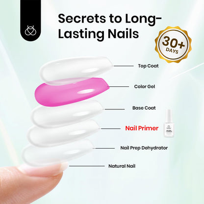 Manicure setup featuring the Beetles twenty milliliters primer bottle alongside salon tools.